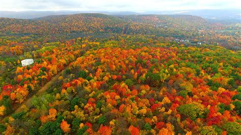 Leaf Peeping Great Places For Fall Foliage In Upstate New York