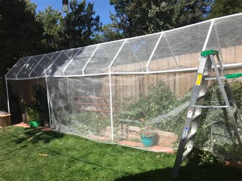 Read our informative vegetable gardening articles today at saferbrand.com! Hail protection - genius! | Hot pepper seeds, Vegetable ...