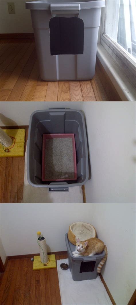 Cat litter sifter box diy. 317 best images about DIY Cat Projects on Pinterest | Cat ...