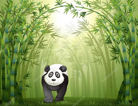 Un Oso Panda Y Un Bosque De Bambú Stock Vector By ©interactimages 20172905