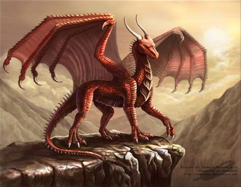404 Not Found Dragon Pictures Dragon Illustration Dragon Art