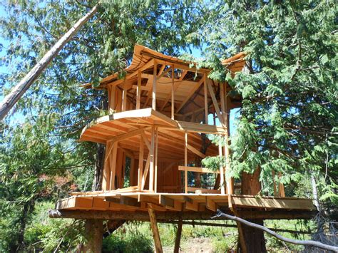 Treehouse studios is owned by award winning editorial & advertising photographer kelly kline who has 10 years of experience creating imagery & visual assets. SunRay Kelley's New Treehouse - The Shelter Blog