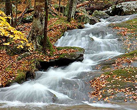 We did not find results for: Cunningham Falls State Park | Gettysburg PA Things to Do