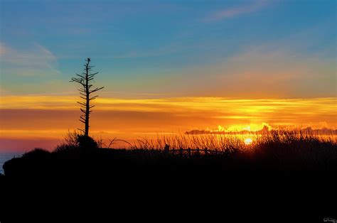 Sunset Silhouetted Lone Snag Photograph By Dee Browning Fine Art America