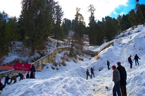 You can reach this peak by hiking throughout. Kufri snow point near Shimla for tourist horse ride and ...