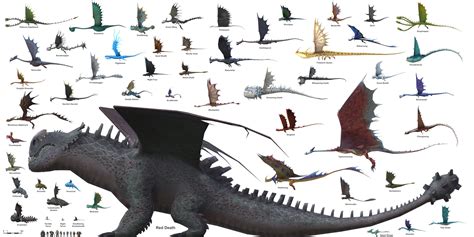 A Size Chart Of All Dragons Found In School Of Dragons Oc How To