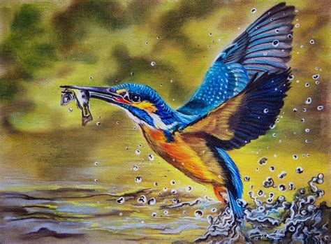 Kingfisher Painting Realistic Original Art Kingfisher Pastel Etsy