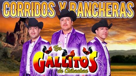 Los Gallitos De Chihuahua Mix Corridos Y Rancheras Puros Corridos Mix