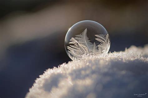 Beautiful Snowflake And Ice Crystal Photos Submitted By