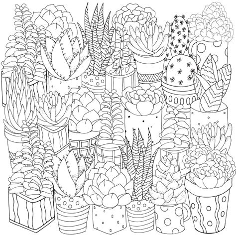 Free Succulent Coloring Pages For Download Printable Pdf Verbnow