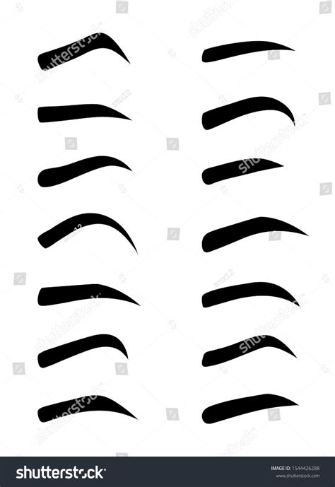 set eyebrows shape eyebrow shapes various stock vector royalty free 1544426288 shutterstock