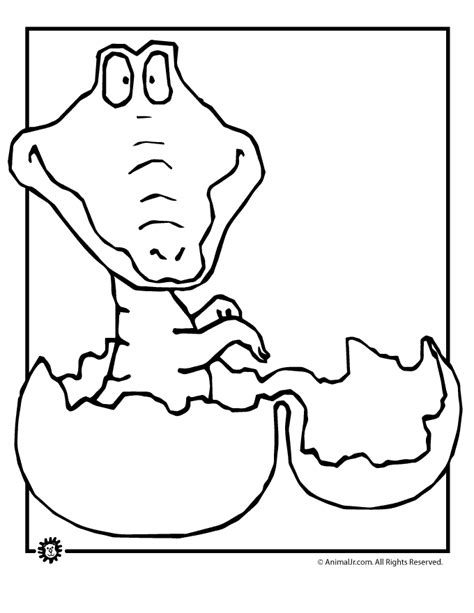 This coloring sheet dimension is around 600 pixel x 429 pixel with approximate file size for around 52.64 kilobytes. Coloring Pages Of Baby Crocodile - Coloring Home