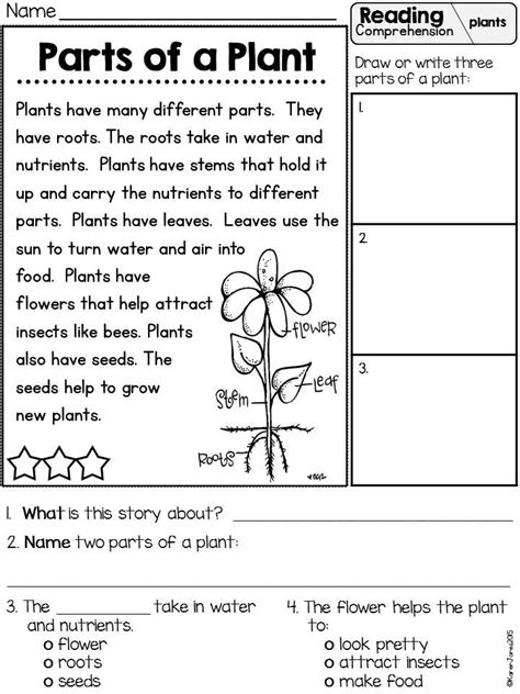 They are so thorough and comprehensive! Teach child how to read: First Grade Science Worksheets For Grade 2 Plants