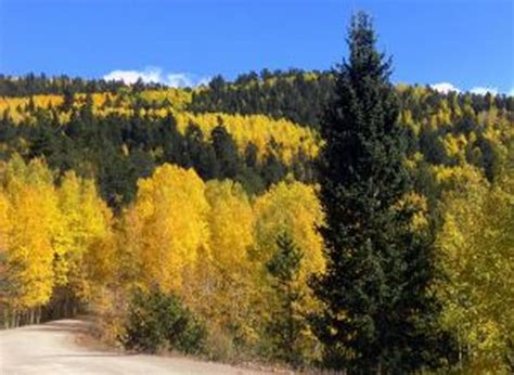 Map Guide Viewing Colorados Fall Aspens