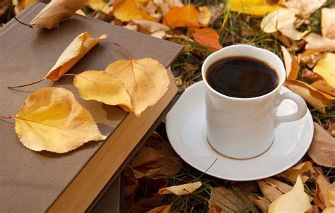 Wallpaper Autumn Leaves Coffee Cup Autumn Leaves Book Fall Cup