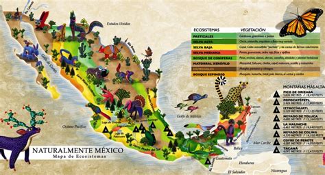 Principales ecosistemas de México Ecosistemas