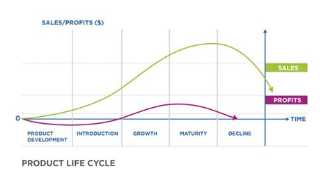Amazon Product Lifecycle 4 Stages And What That Means For You