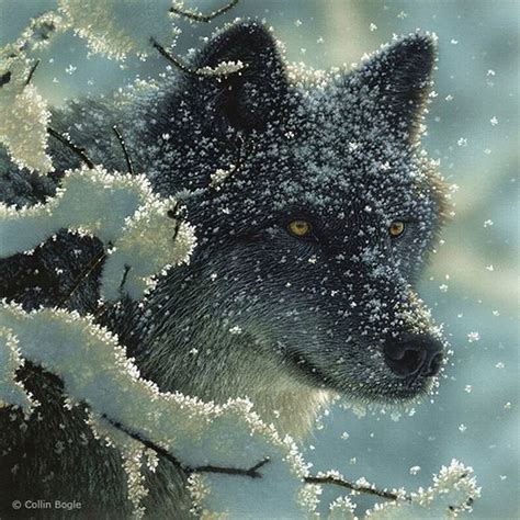 Beautiful Wildlife Paintings By Collin Bogle 20 Pics
