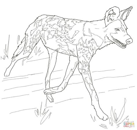French bulldog and his small muscular body filled with pretty patterns. African Wild Dog or Painted Hunting Dog coloring page ...