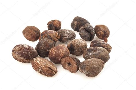 Shea nuts on white background, karite seeds — Stock Photo ... More icons from this author.