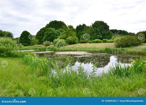 Lake In The Forest Creating Harmony With The Surrounding Nature Stock