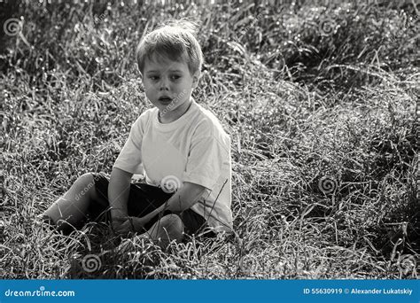 Little Boy Playing In The Field Stock Image Image Of Lifestyle Male
