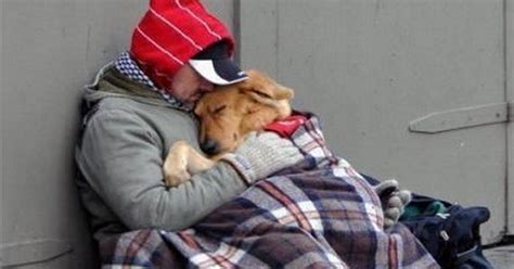 Homeless Guy And Dog Jaynes Blog