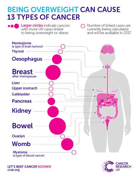 The Second Biggest Preventable Cause Of Cancer Being Overweight