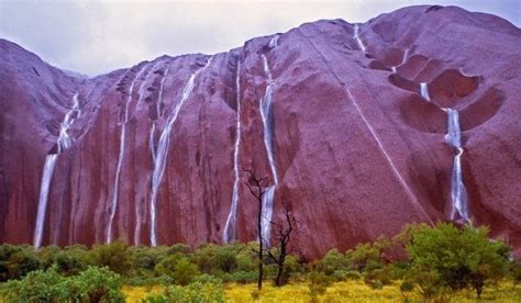 Waterfall At Uluru A Rare Occurs Sights Only For Lucky Tourists