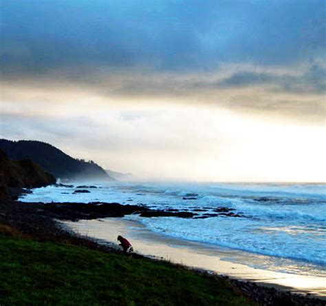 Sally Seeks Seashells Photograph By Tai Kmak Fine Art America