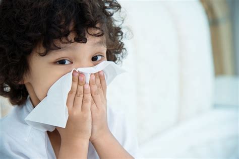 How To Stop A Runny Nose Fast At School And Without Medicine American