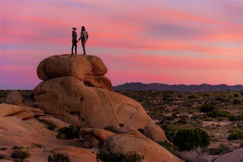 Joshua Tree National Park The Top 5 Amazing Attractions