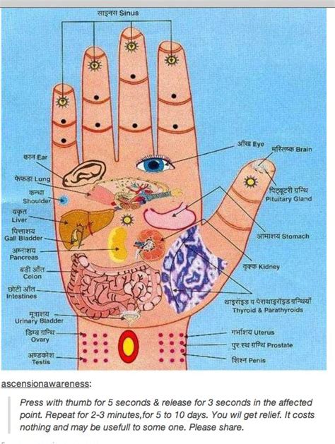 Pressure Points Reflexology Hand Reflexology Acupressure