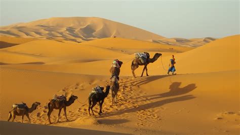 Travel In Morocco A Nomad Among The Nomads In The Sahara Desert