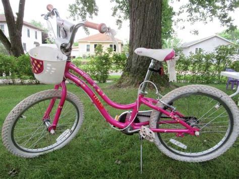 Trek 20 Inch Girl27s Mystic Bike With Basket You May Contact Us At