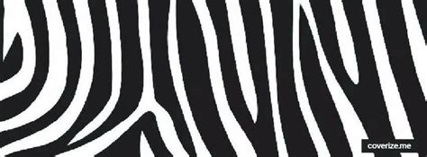 My Zebra Strips And Ideas Fb Cover Photos Cover Pics Facebook Cover