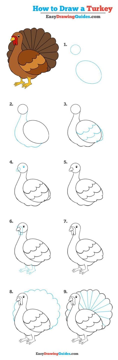 How To Draw A Turkey Really Easy Drawing Tutorial Drawing Tutorial