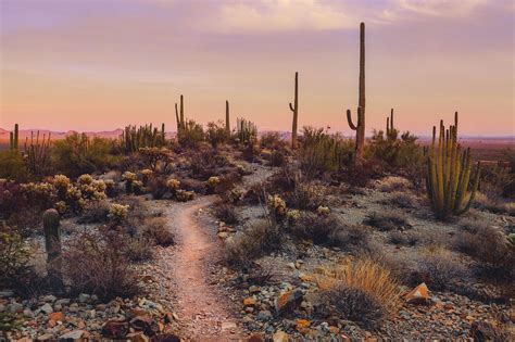 Desert Vibes Desert Aesthetic National Monuments Scenery