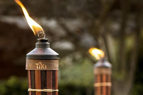 Like most living organisms, there are certain frequencies that pests cannot handle. 5 Best Tiki Torch Fuels for Mosquitoes in 2020: Natural ...