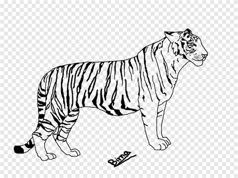 Imagen Imagen Dibujos De Tigres A Color Thptletrongtan Edu Vn