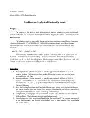 Stoichiometry Synthesis Of Calcium Carbonate Docx Catherine Mantilla