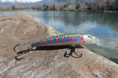 Best Rainbow Trout Lures And Baits Every Angler Should Be Using Tilt