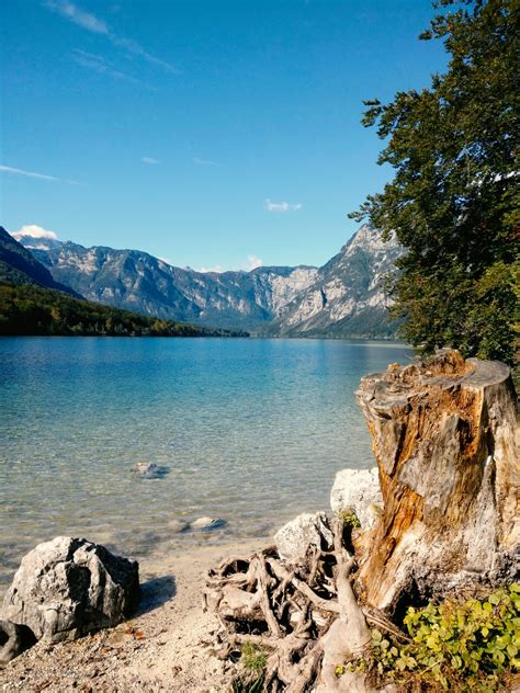 Submitted 12 hours ago * by heyitsallgood. Lake Bohinj, Slovenia : europe