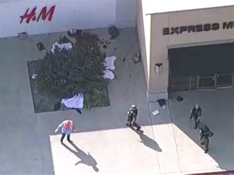 At least 8 people killed by gunman at Texas mall; shooter killed