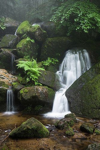 A Small Waterfall In The Middle Of A Forest Filled With Rocks And Ferns
