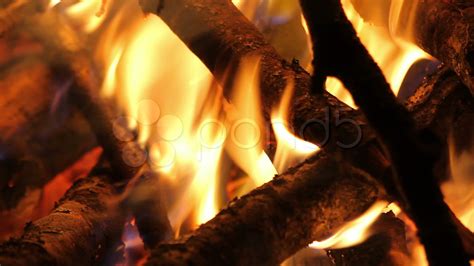 Camp Fire, Detail Stock Footage,#Fire#Camp#Detail#Footage | Campfire, Fire, Stock footage