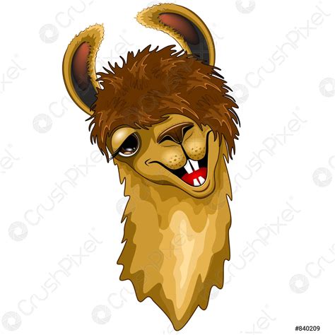Llama Funny Happy Face Vector Illustration Stock Vector 840209
