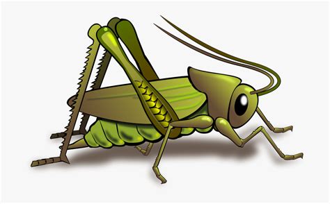 Home of cricket streams, this page helps to watch test, one day and t20 cricket streams online. Clipart Of Bug, Cricket And Insects - حشرة تحتوي على ...