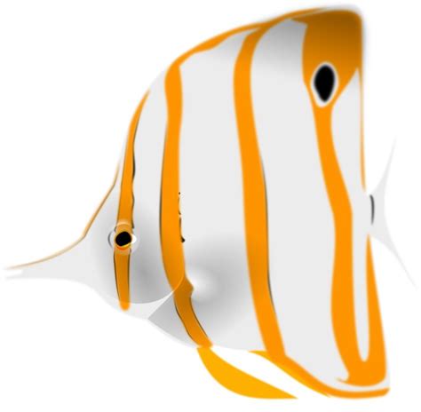 Clipart Of White And Orange Fish Free Image Download