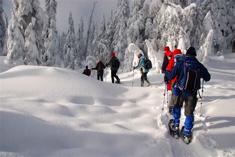 5 Good Reasons You Should Try Snowshoeing Alps2alps Transfer Blog